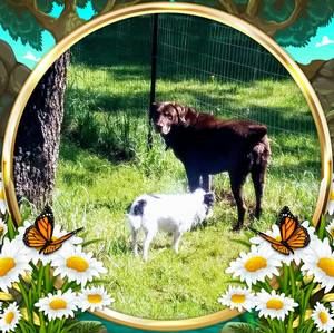 Meet your Posher, Carole